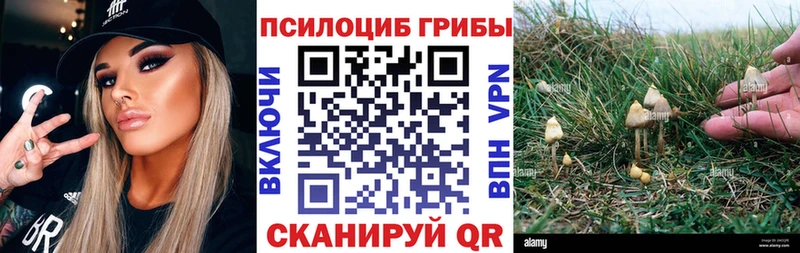 Галлюциногенные грибы Cubensis  Боготол 
